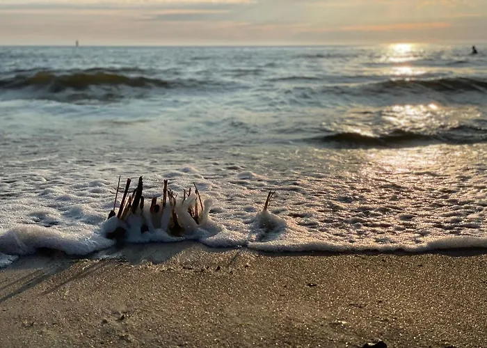 Διαμέρισμα A8 Melnrage