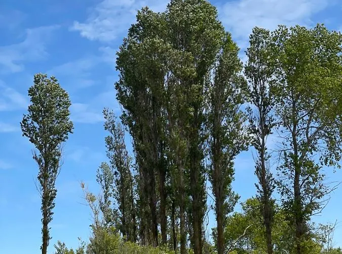 A8 Melnrage * Κλαϊπέντα