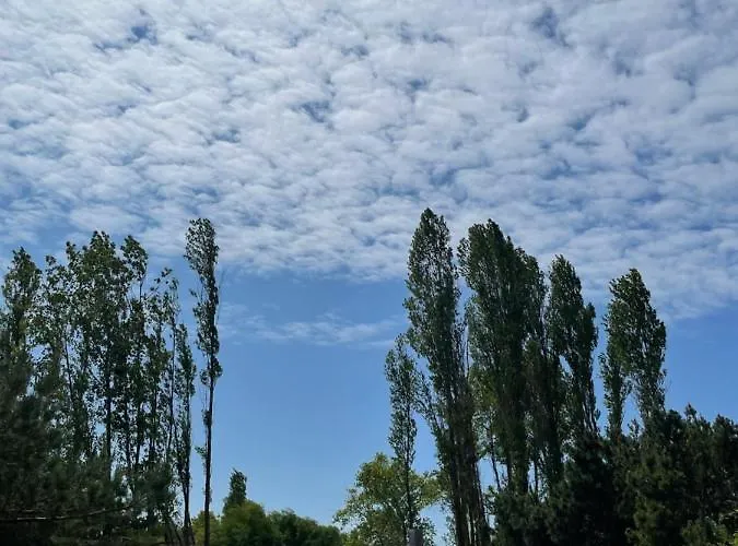 Διαμέρισμα A8 Melnrage